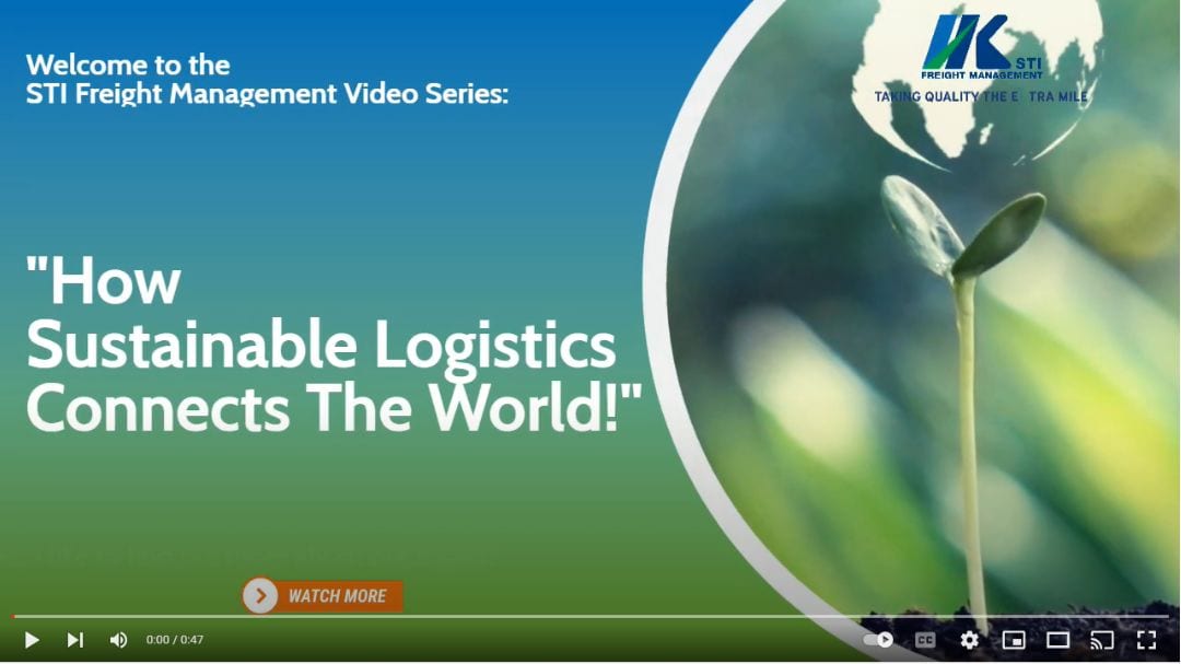 video preview image